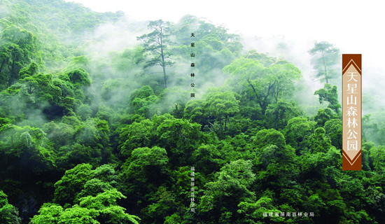 福建省屏南县天星山国家级森林公园