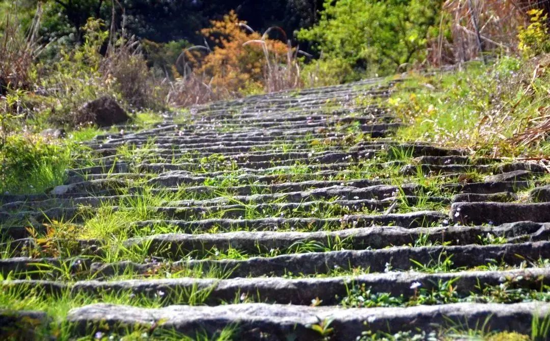 宁德白鹤岭古道