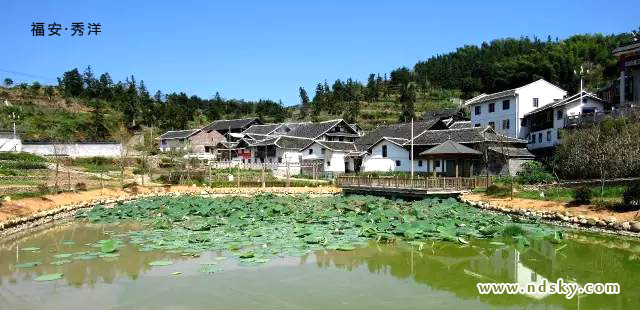 赛岐镇秀洋村