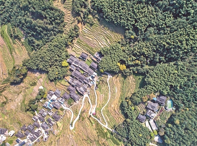 福安市穆云乡南山村古宅、古树、梯田美景相映，如同仙境（2019.3.26 无人机拍摄）