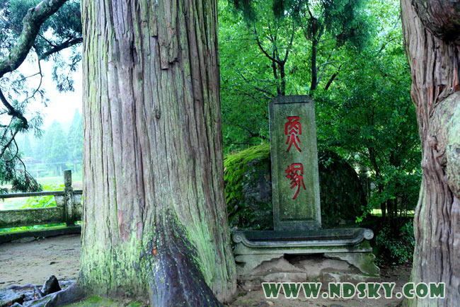 周宁鲤鱼溪：鱼冢