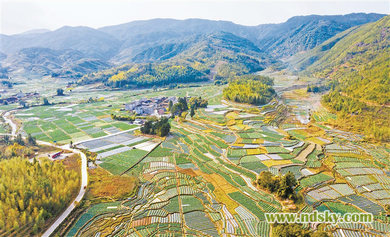 屏南县棠口镇仕洋村片区万亩高山蔬菜基地