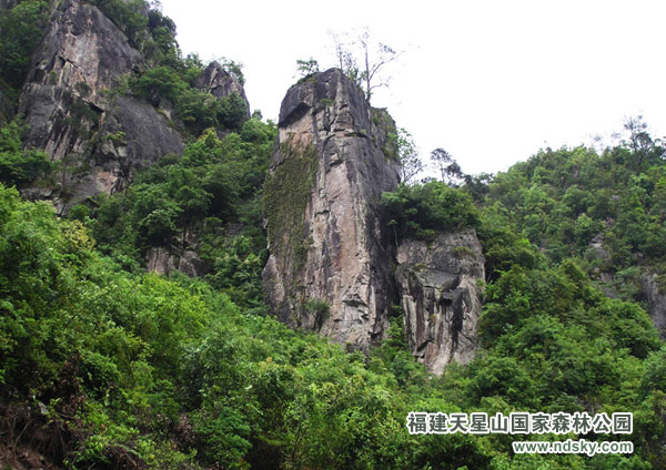 福建天星山国家森林公园