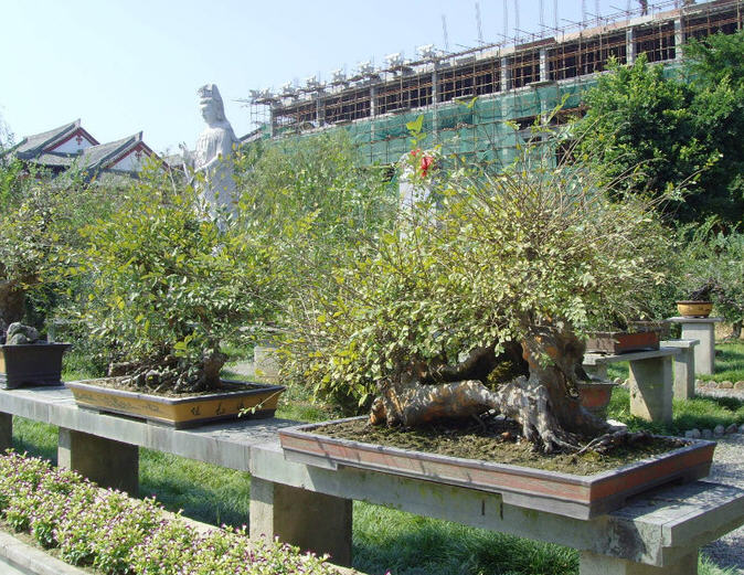 福鼎资国寺